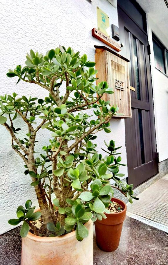 Bighem Maison 2 泉佐野 外观 照片